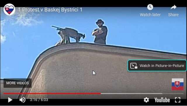 Slovensko - protest-gulomet2.jpg