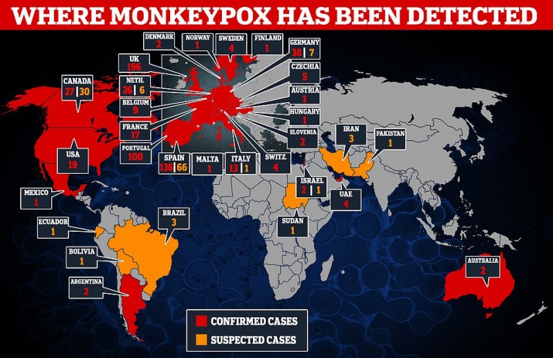 monkey.jpg