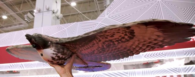 Snímka obrazovky (194).jpg