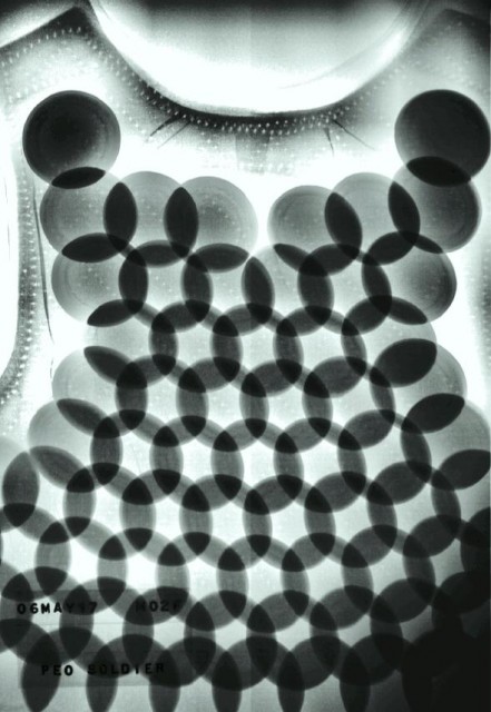 PEO_soldier_Dragonskin.jpg (65.25 KiB) Zobrazeno 22694 x PEO_soldier_Dragonskin.jpg